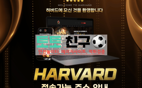 먹튀사이트인 하버드 평생주소 도메인 화면