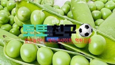 완두콩 실시간 접속 주소 실시간 도메인